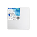 Thin Edge Stretched Canvas