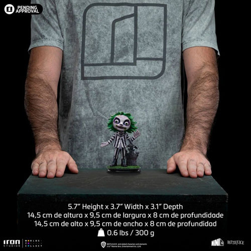 Beetlejuice MiniCO Vinyl