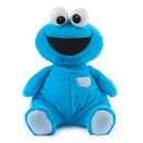 Oh So Snuggly Cookie Monster Plush 30cm