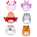 Smoosho's Pals Plush Toy