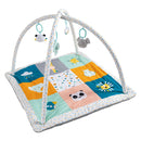 Eurekakids CUCU Baby Activity Gym