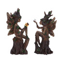 Woodland Beauty Tree Fairy Figurines 15.5cm (Set of 2)