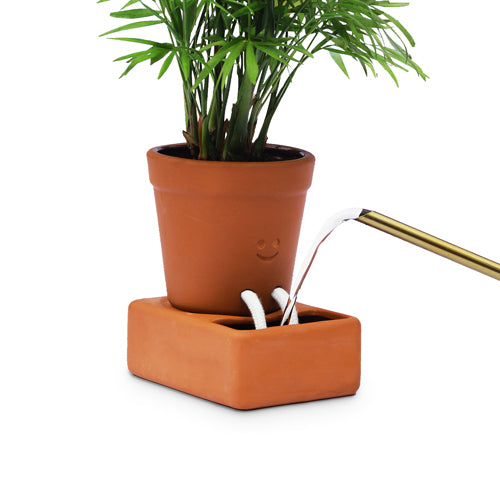 Pikkii Self Care Planter