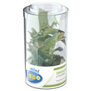 Papo Mini Plus Dinosaur Figurines 6pcs