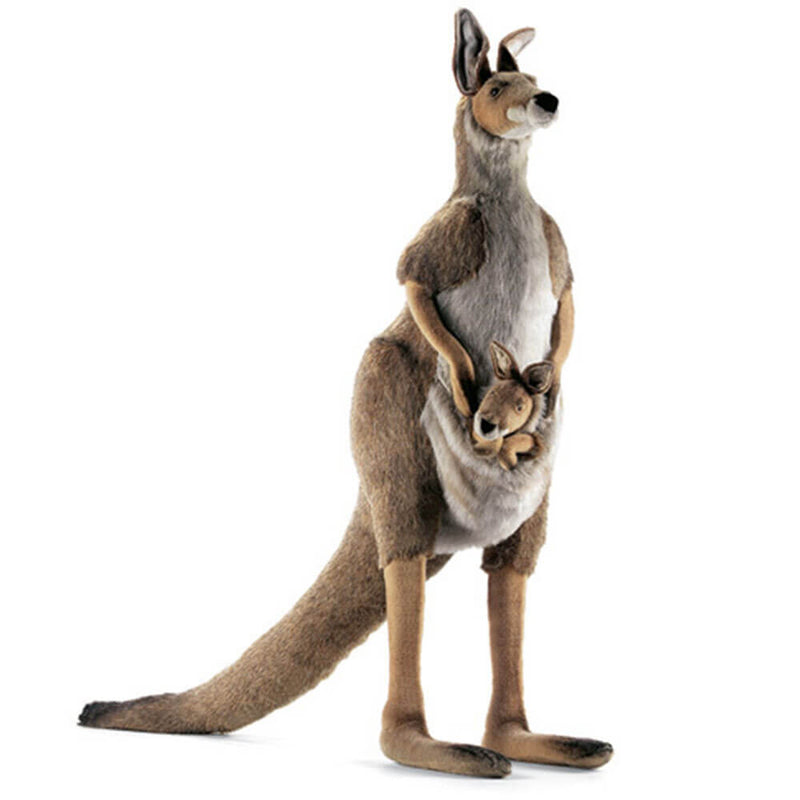 Hansa maman et Joey kangourou