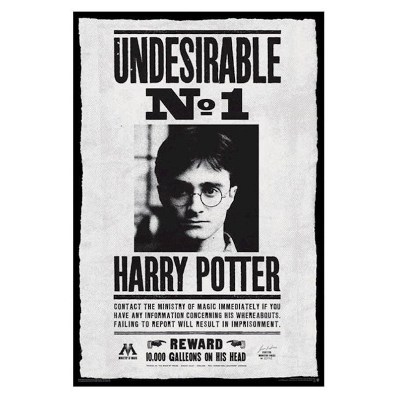 Affiche Harry Potter