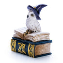 Snowy Owl Book Trinket Box